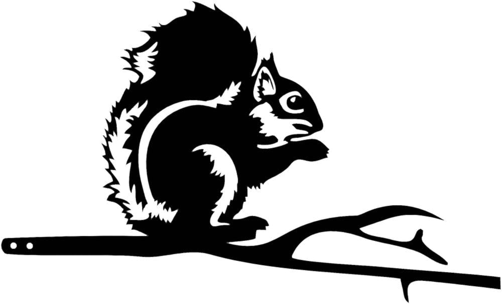 Rusty Rooster Fabrication & Design Squirrel Sitting On A Branch (A61)